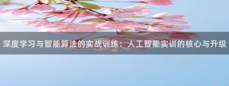 深度学习与智能算法的实战训练：人工智能实训的核心与升级