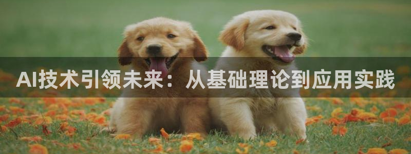 AI技术引领未来：从基础理论到应用实践