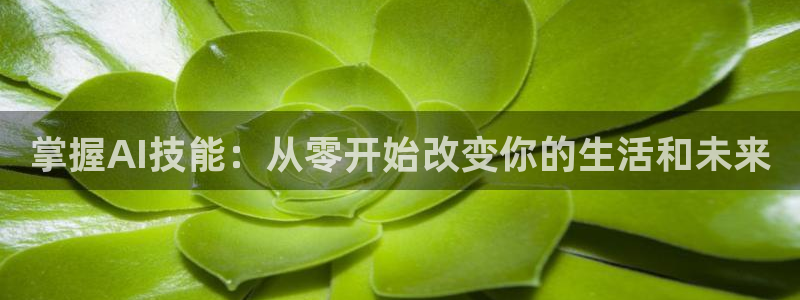 掌握AI技能：从零开始改变你的生活和未来