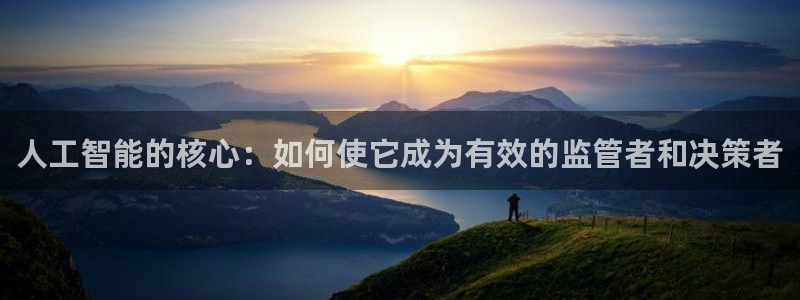 人工智能的核心：如何使它成为有效的监管者和决策者