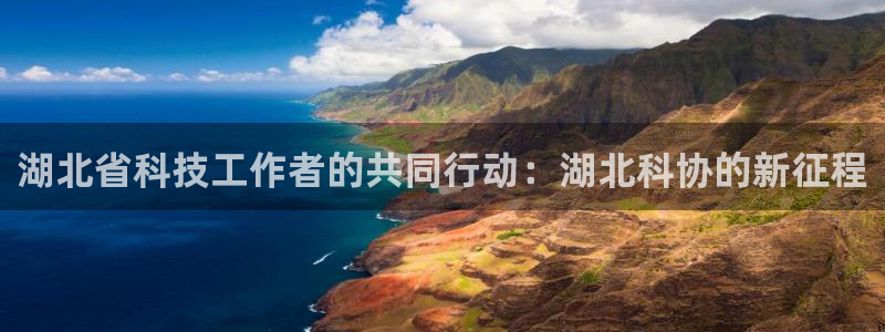 湖北省科技工作者的共同行动：湖北科协的新征程