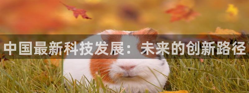 中国最新科技发展：未来的创新路径