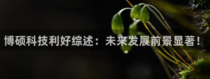 博硕科技利好综述：未来发展前景显著！