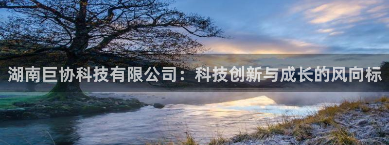 湖南巨协科技有限公司：科技创新与成长的风向标