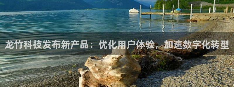 龙竹科技发布新产品：优化用户体验，加速数字化转型