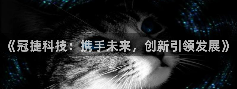 《冠捷科技：携手未来，创新引领发展》
