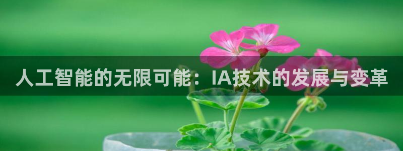 人工智能的无限可能：IA技术的发展与变革