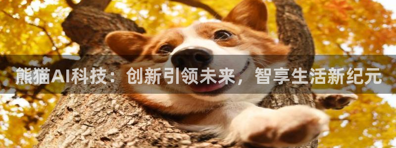 熊猫AI科技：创新引领未来，智享生活新纪元