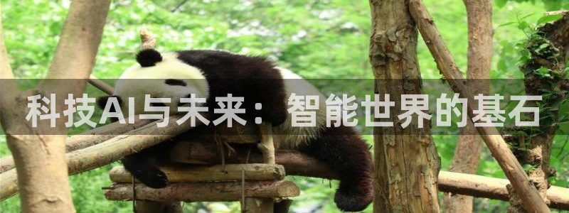 科技AI与未来：智能世界的基石