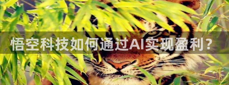 悟空科技如何通过AI实现盈利？