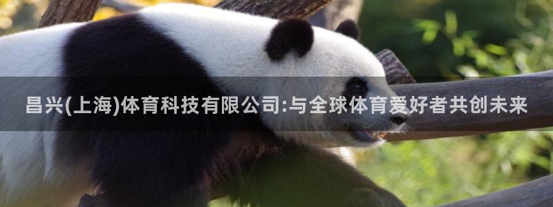 昌兴(上海)体育科技有限公司:与全球体育爱好者共创未来
