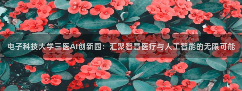 电子科技大学三医AI创新园：汇聚智慧医疗与人工智能的无限可能