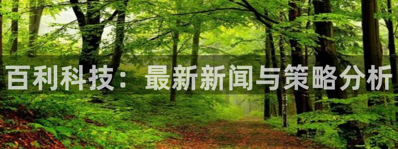 百利科技：最新新闻与策略分析