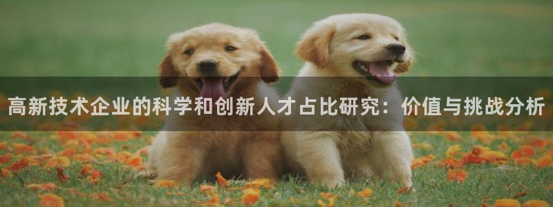 高新技术企业的科学和创新人才占比研究：价值与挑战分析
