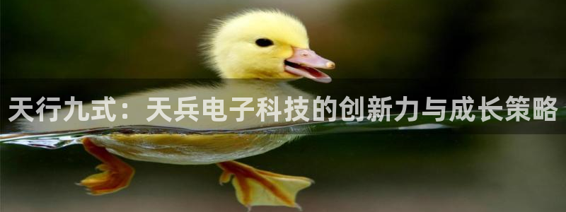 天行九式：天兵电子科技的创新力与成长策略