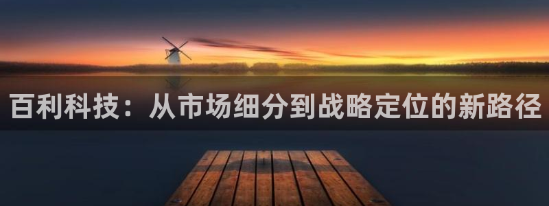 百利科技：从市场细分到战略定位的新路径