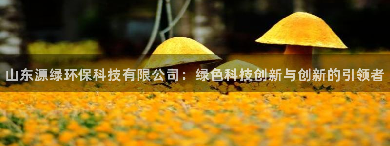 山东源绿环保科技有限公司：绿色科技创新与创新的引领者