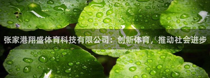 张家港翔盛体育科技有限公司：创新体育，推动社会进步