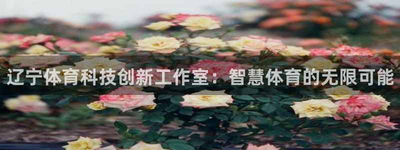 辽宁体育科技创新工作室：智慧体育的无限可能
