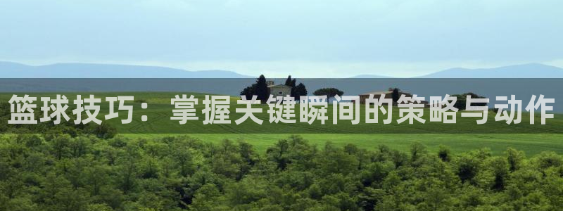 篮球技巧：掌握关键瞬间的策略与动作