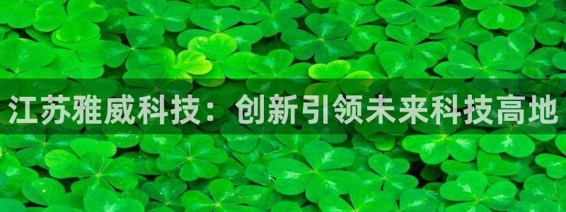 江苏雅威科技：创新引领未来科技高地