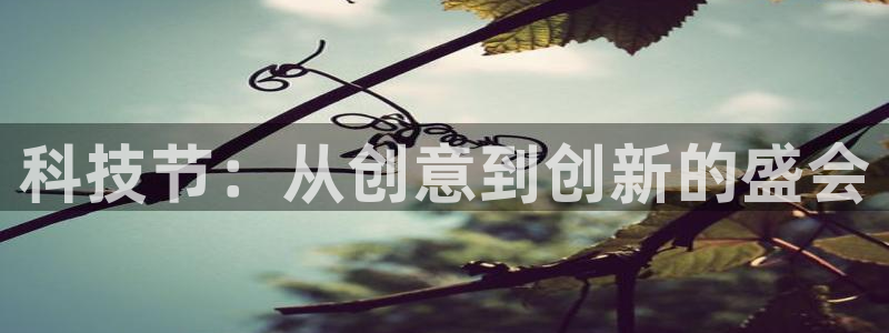 科技节：从创意到创新的盛会