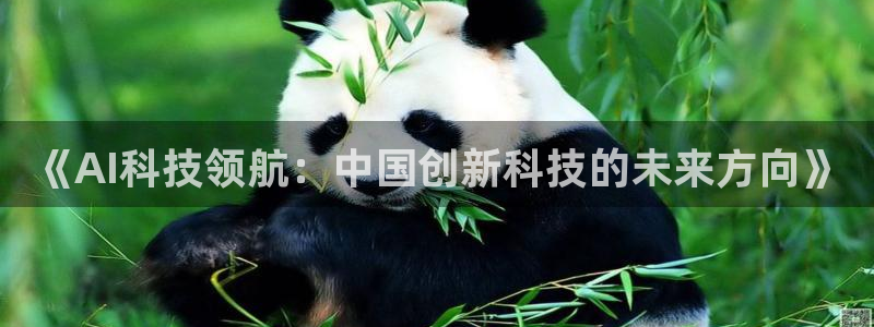 《AI科技领航：中国创新科技的未来方向》