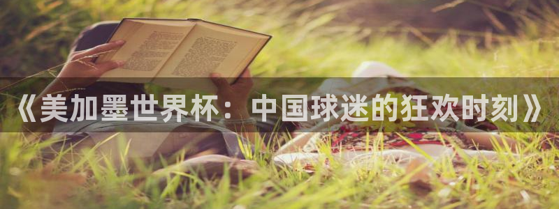 《美加墨世界杯：中国球迷的狂欢时刻》