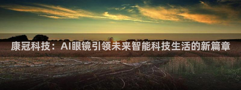 康冠科技：AI眼镜引领未来智能科技生活的新篇章