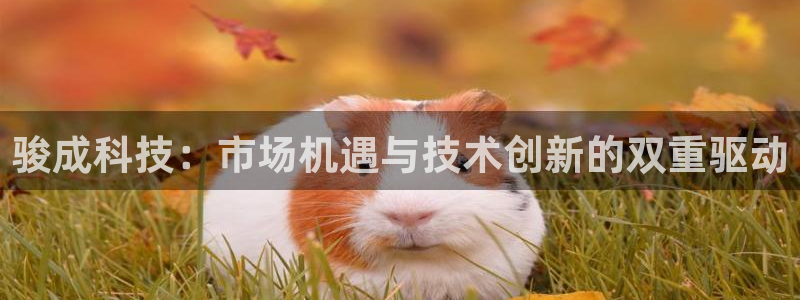 骏成科技：市场机遇与技术创新的双重驱动