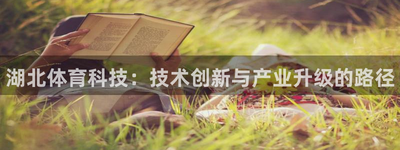 湖北体育科技：技术创新与产业升级的路径