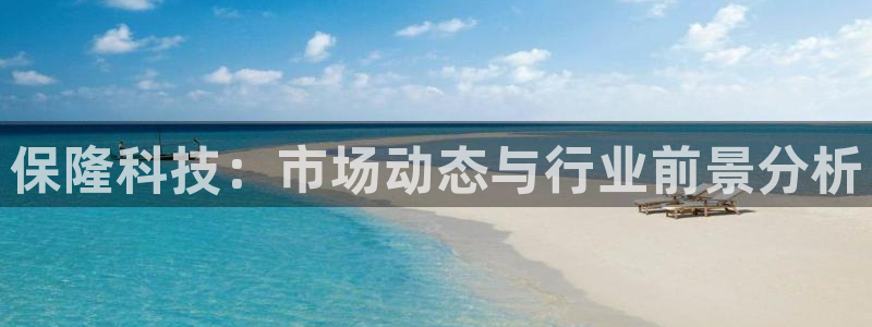保隆科技：市场动态与行业前景分析