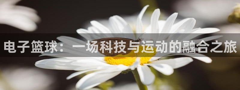 电子篮球：一场科技与运动的融合之旅