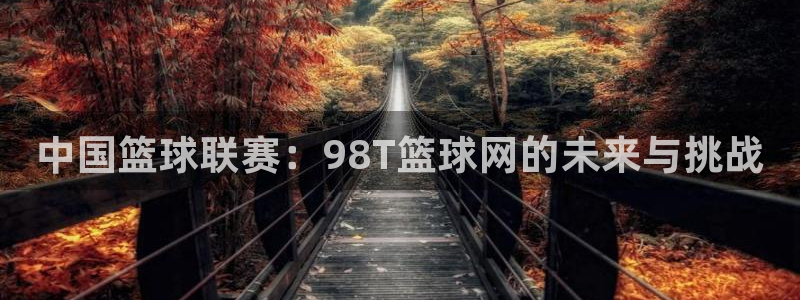 中国篮球联赛：98T篮球网的未来与挑战