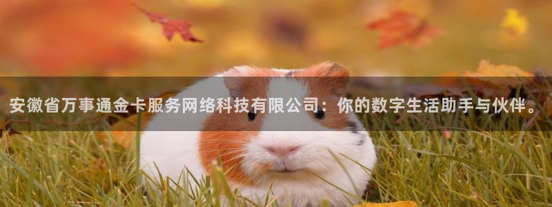 安徽省万事通金卡服务网络科技有限公司：你的数字生活助手与伙伴。