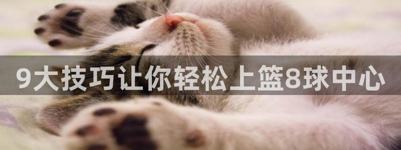 9大技巧让你轻松上篮8球中心