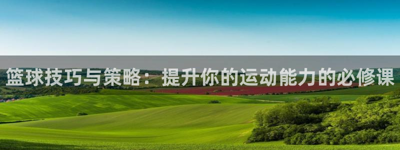 篮球技巧与策略：提升你的运动能力的必修课