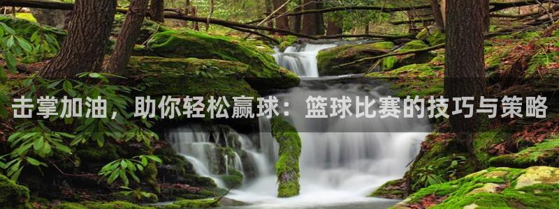 击掌加油，助你轻松赢球：篮球比赛的技巧与策略