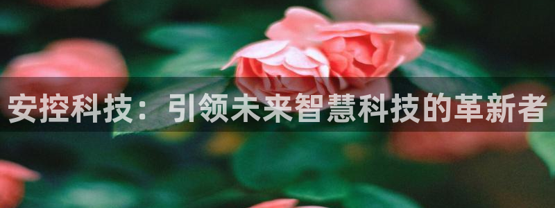 安控科技：引领未来智慧科技的革新者
