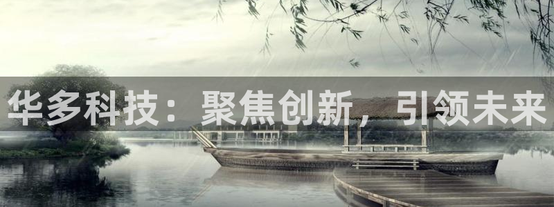 华多科技：聚焦创新，引领未来