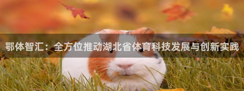鄂体智汇：全方位推动湖北省体育科技发展与创新实践