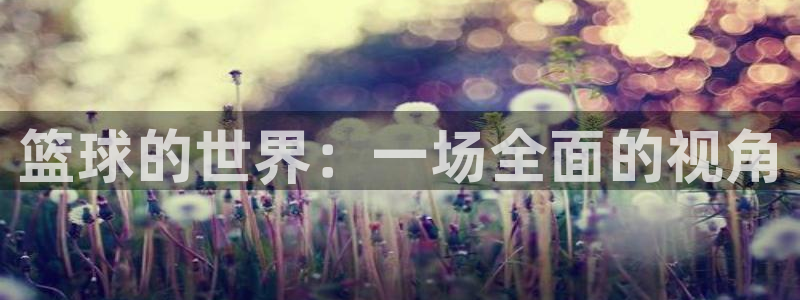 篮球的世界：一场全面的视角