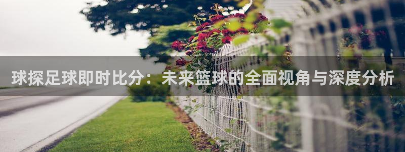 球探足球即时比分：未来篮球的全面视角与深度分析