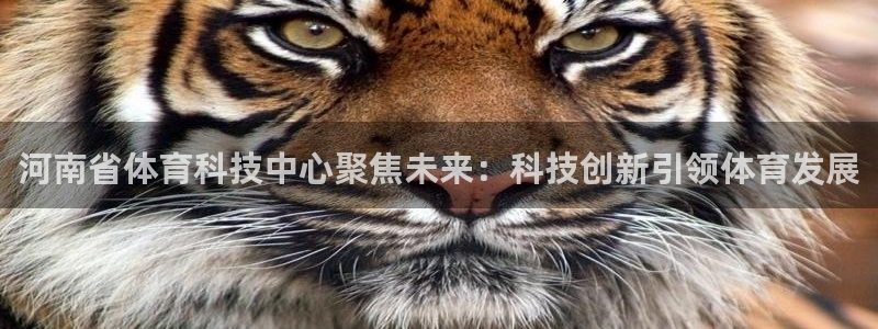 河南省体育科技中心聚焦未来：科技创新引领体育发展