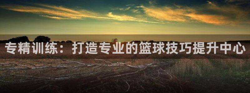 专精训练：打造专业的篮球技巧提升中心