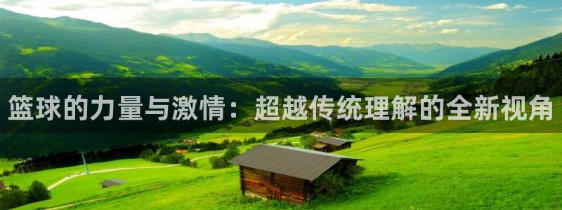 篮球的力量与激情：超越传统理解的全新视角