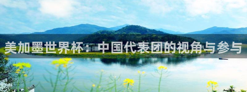 美加墨世界杯：中国代表团的视角与参与
