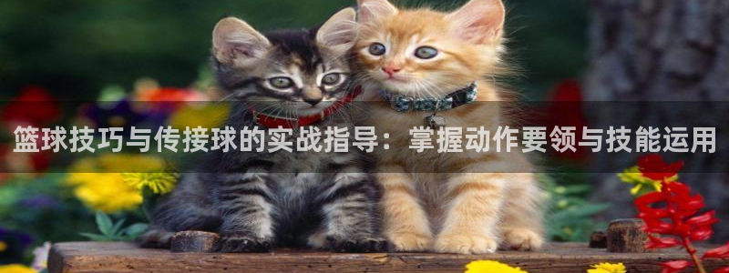 篮球技巧与传接球的实战指导：掌握动作要领与技能运用