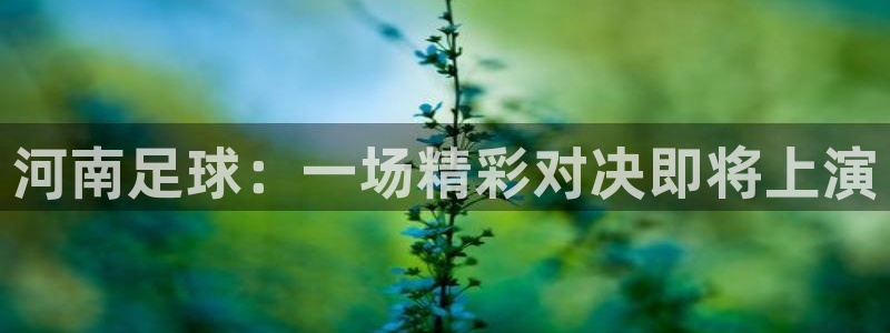 河南足球：一场精彩对决即将上演