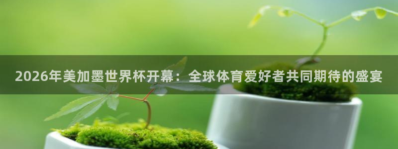 2026年美加墨世界杯开幕：全球体育爱好者共同期待的盛宴